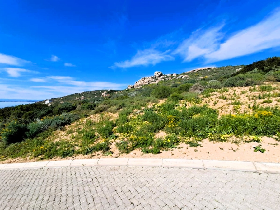 0 Bedroom Property for Sale in Steenbergs Cove Western Cape